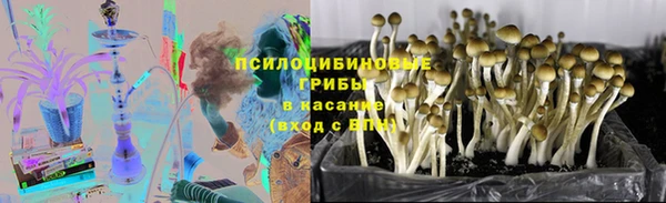 спиды Алексеевка