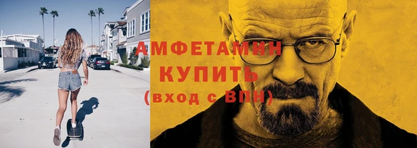 мет Алексин