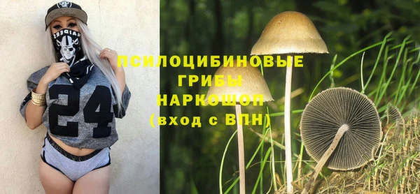 спиды Алексеевка