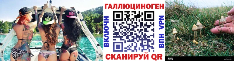 Галлюциногенные грибы Cubensis  Приморск 
